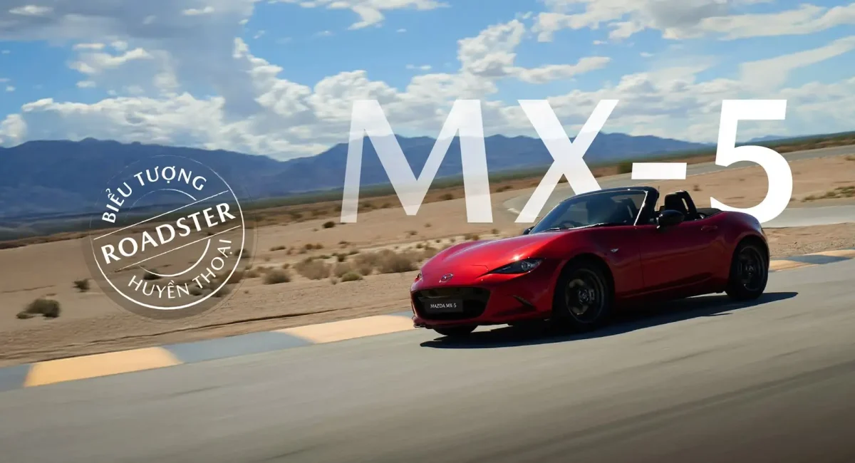 banner-web-mx-5-01